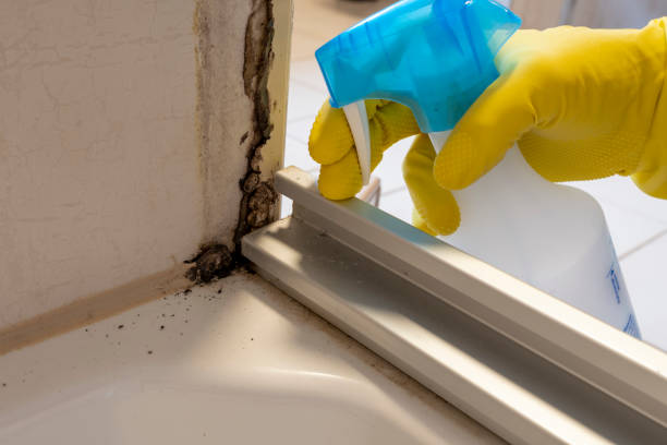 Crawl Space Mold Removal in Northwest Ithaca, NY
